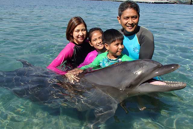 exclusive-with-dolphins-subic-bay-nav-box
