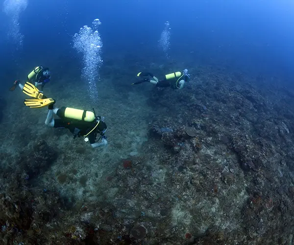 Diving in Subic Bay Diving-in-Subic-Bay